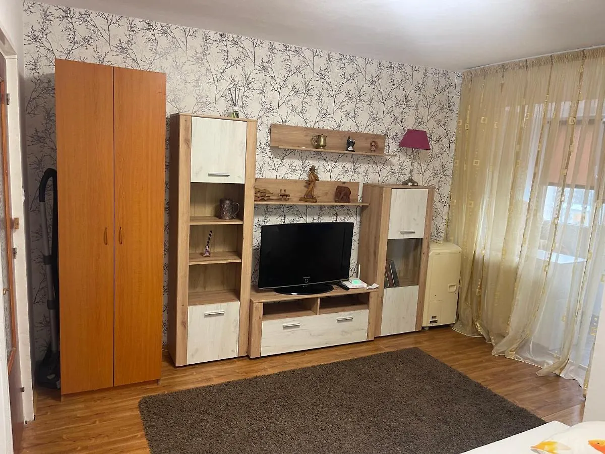 Garsoniera -Single Room 91 Bucharest Apartment